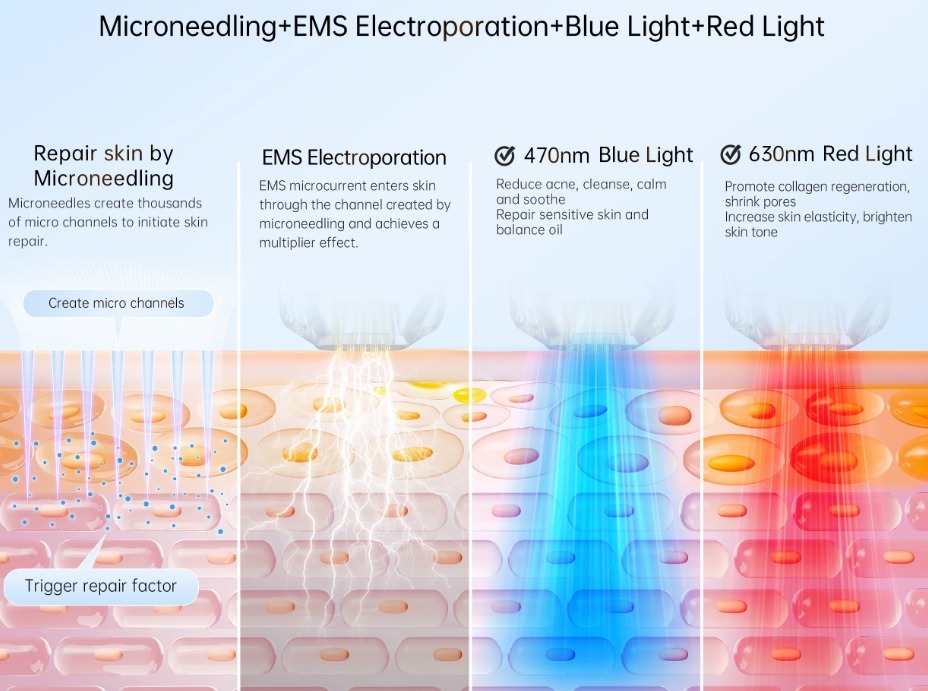 Dr.pen Bio Pen Q2 Microneedling Pen